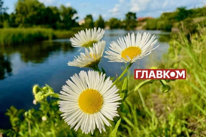 На Україну насувається спека