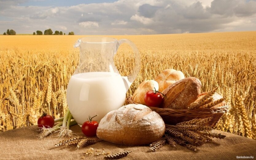 Цены на продукты в июне: где дешевле купить масло, хлеб и молоко