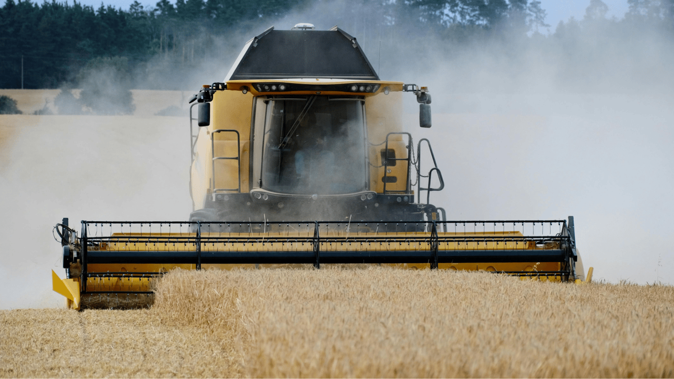 Grain Harvest in 2025 — What to Expect and What Will Happen to Prices